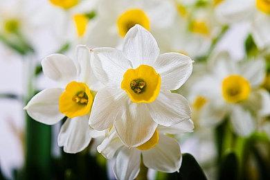 《恐龙大战机器人》Steam游戏节开启 多款相关游戏优惠